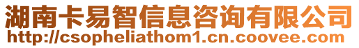 湖南卡易智信息咨詢有限公司