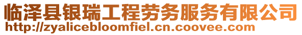 臨澤縣銀瑞工程勞務服務有限公司