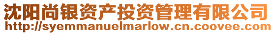 沈陽尚銀資產投資管理有限公司
