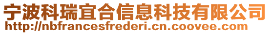 寧波科瑞宜合信息科技有限公司