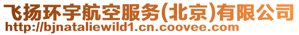飛揚(yáng)環(huán)宇航空服務(wù)(北京)有限公司