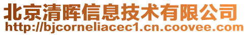 北京清暉信息技術(shù)有限公司