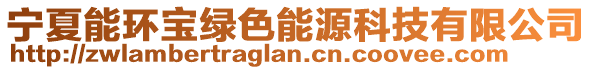 寧夏能環(huán)寶綠色能源科技有限公司
