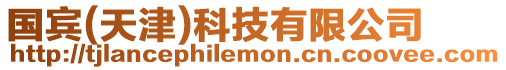 國賓(天津)科技有限公司