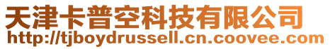 天津卡普空科技有限公司