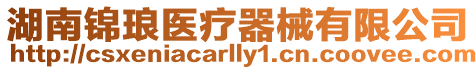 湖南錦瑯醫療器械有限公司