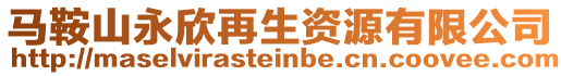 馬鞍山永欣再生資源有限公司