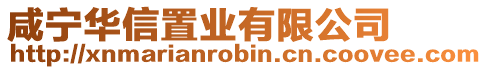 咸寧華信置業(yè)有限公司