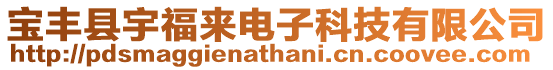 寶豐縣宇福來電子科技有限公司