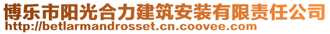 博樂市陽光合力建筑安裝有限責任公司