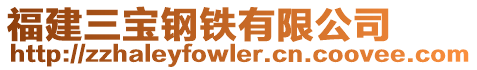 福建三寶鋼鐵有限公司
