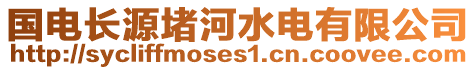 國電長源堵河水電有限公司
