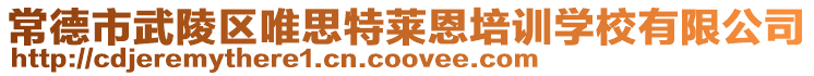 常德市武陵區(qū)唯思特萊恩培訓(xùn)學(xué)校有限公司