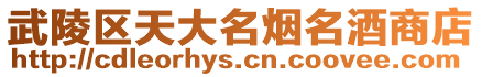 武陵區(qū)天大名煙名酒商店