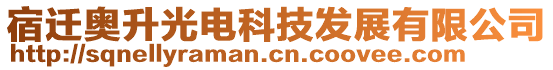 宿遷奧升光電科技發(fā)展有限公司