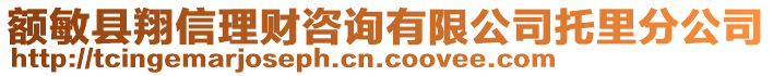 額敏縣翔信理財咨詢有限公司托里分公司