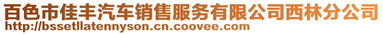 百色市佳豐汽車銷售服務有限公司西林分公司