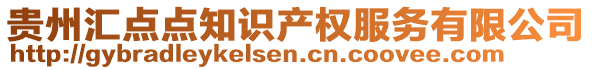 貴州匯點點知識產(chǎn)權(quán)服務(wù)有限公司
