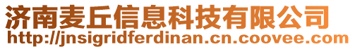 濟南麥丘信息科技有限公司