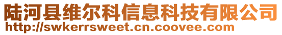 陸河縣維爾科信息科技有限公司