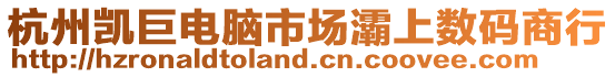 杭州凱巨電腦市場灞上數(shù)碼商行