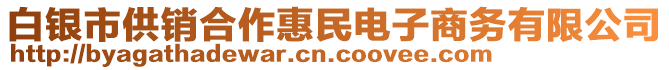 白銀市供銷合作惠民電子商務(wù)有限公司