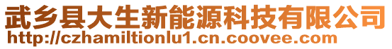 武鄉(xiāng)縣大生新能源科技有限公司