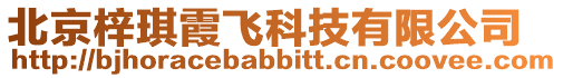 北京梓琪霞飛科技有限公司