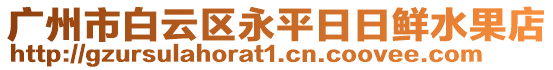 廣州市白云區(qū)永平日日鮮水果店