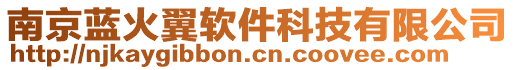 南京藍(lán)火翼軟件科技有限公司