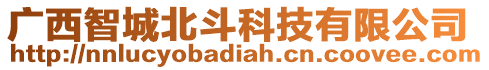 廣西智城北斗科技有限公司