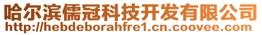 哈爾濱儒冠科技開發(fā)有限公司