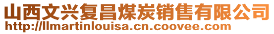 山西文興復昌煤炭銷售有限公司