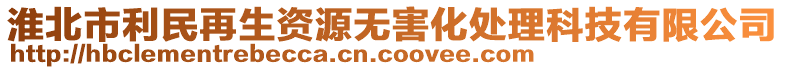 淮北市利民再生資源無害化處理科技有限公司