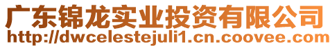 廣東錦龍實業(yè)投資有限公司