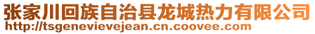 張家川回族自治縣龍城熱力有限公司