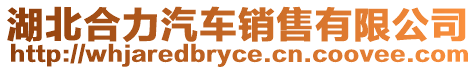 湖北合力汽車銷售有限公司