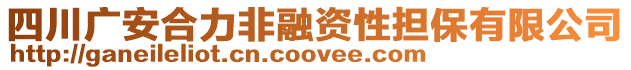 四川廣安合力非融資性擔保有限公司
