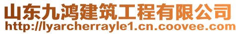 山東九鴻建筑工程有限公司