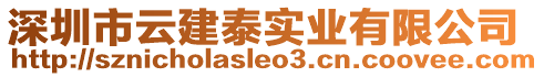 深圳市云建泰實業(yè)有限公司