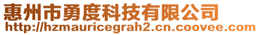 惠州市勇度科技有限公司