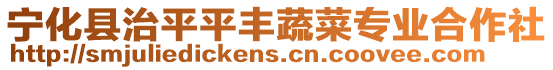寧化縣治平平豐蔬菜專業(yè)合作社