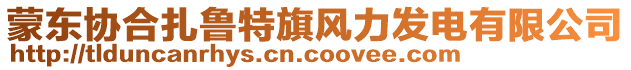 蒙東協(xié)合扎魯特旗風(fēng)力發(fā)電有限公司