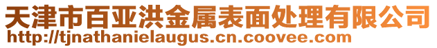 天津市百亞洪金屬表面處理有限公司