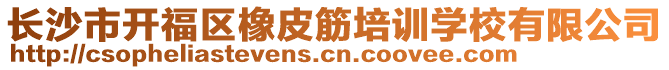 長沙市開福區(qū)橡皮筋培訓學校有限公司