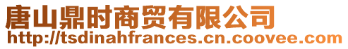 唐山鼎時商貿有限公司