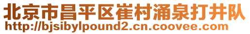 北京市昌平區(qū)崔村涌泉打井隊(duì)