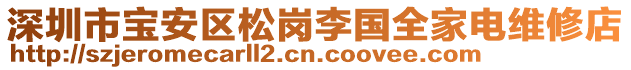 深圳市寶安區(qū)松崗李國全家電維修店