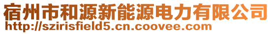 宿州市和源新能源電力有限公司