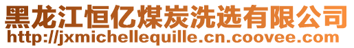 黑龍江恒億煤炭洗選有限公司